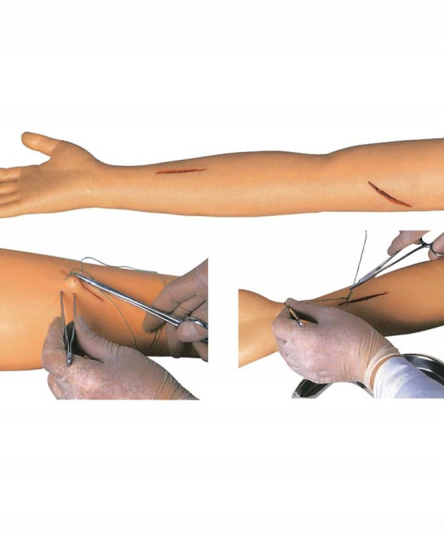 Modèle bras pratique pour suture - Matériel Consommable MonPara Maroc