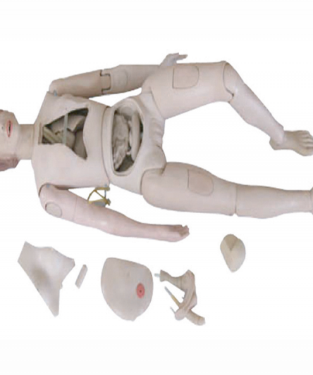 Mannequins Complets Formation Infirmiers - Matériel Consommable MonPara Maroc