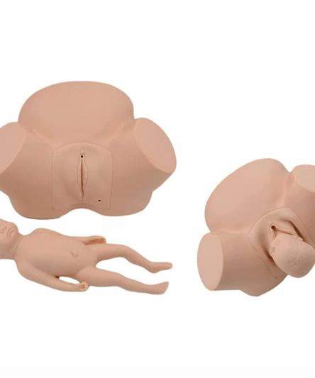 Modèle simulateur d&rsquo;accouchement pour sage femme - Matériel Consommable MonPara Maroc