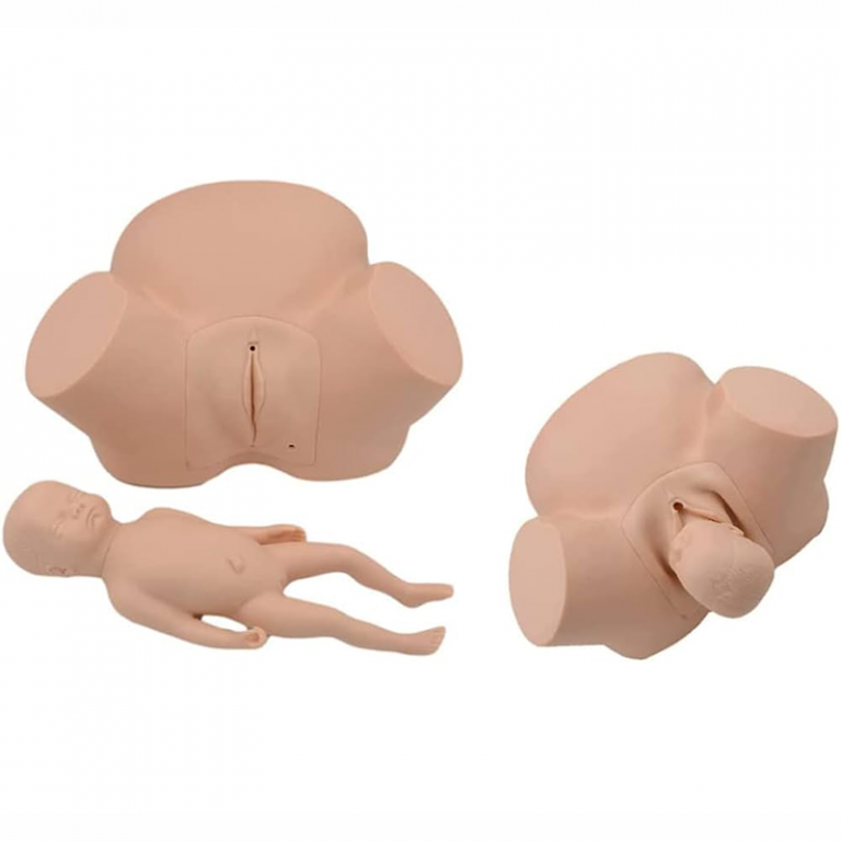 Modèle simulateur d&rsquo;accouchement pour sage femme - Matériel Consommable MonPara Maroc